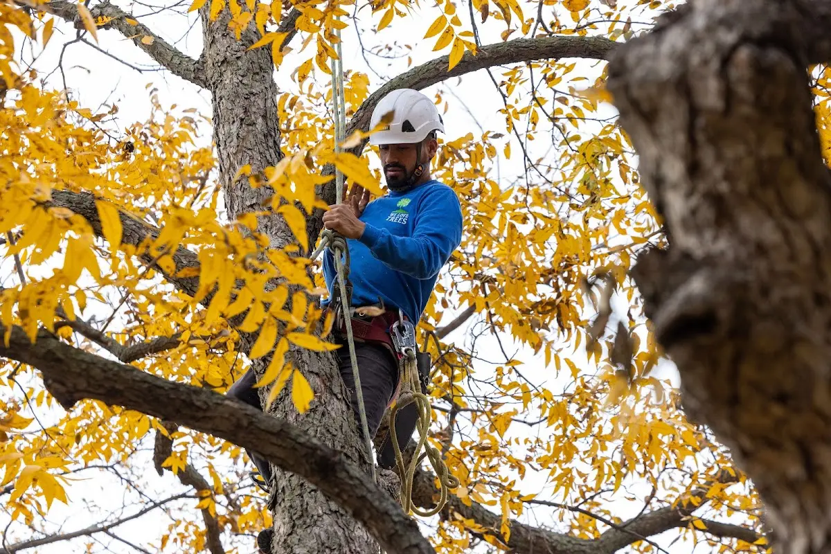 Skilled Storm Damage Cleanup crew working in Barksdale