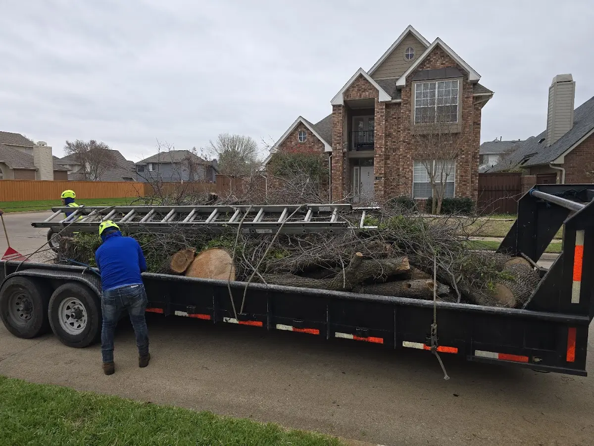 Expert Crown Reduction with proper safety equipment in Barksdale